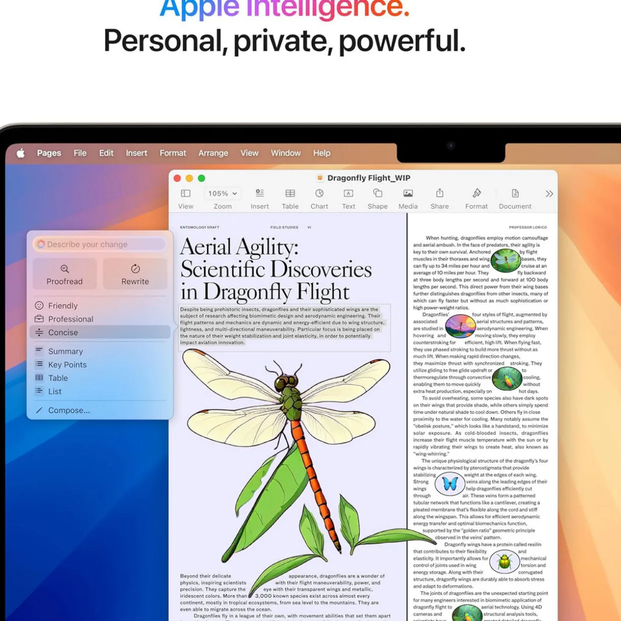 13 Inch M4 MacBook Air Starlight