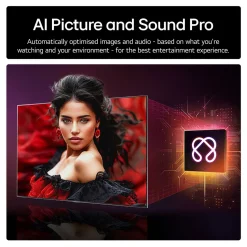 65 Inch OLED 4K Smart Entry TV