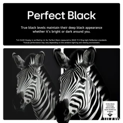 65 Inch OLED 4K Smart Entry TV