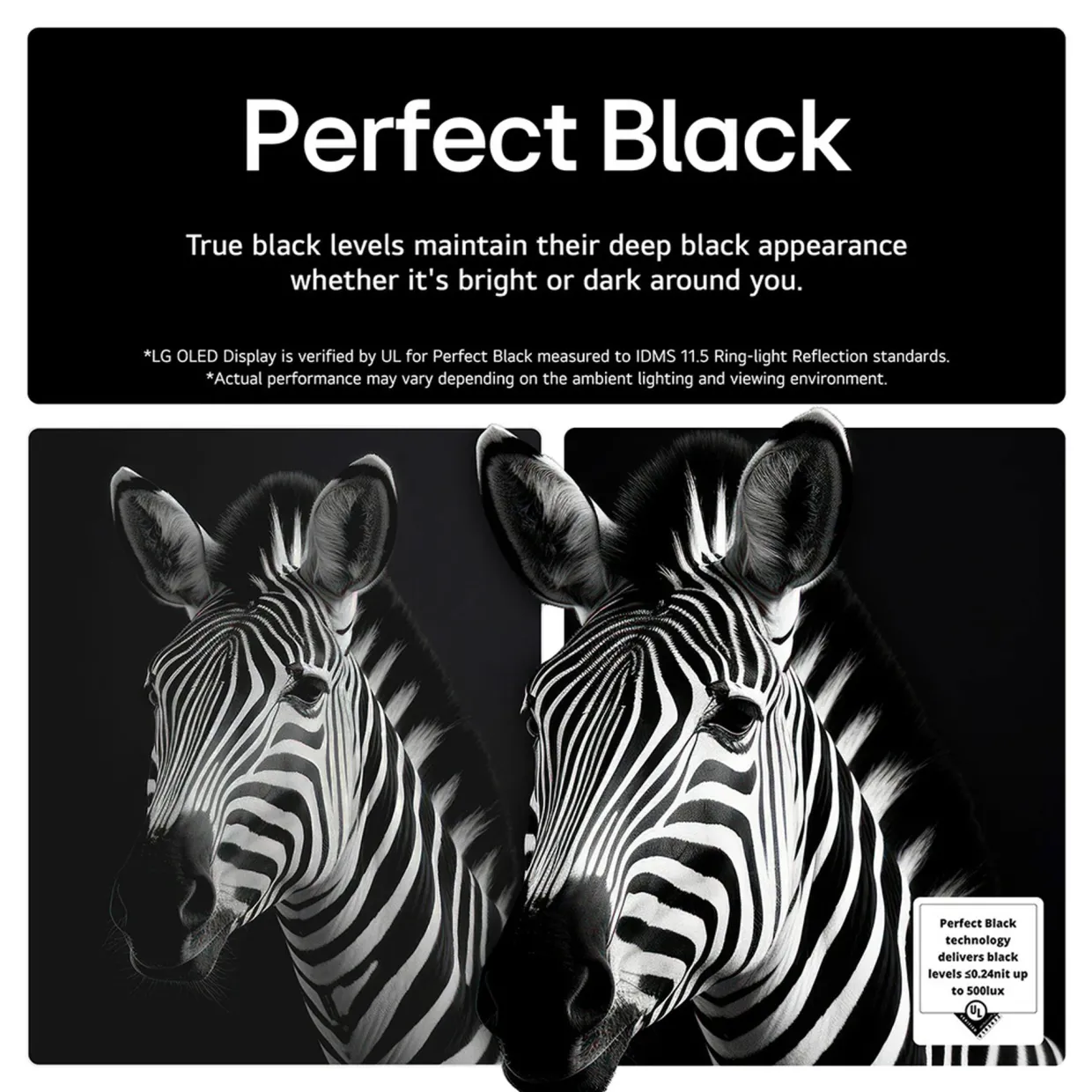 65 Inch OLED 4K Smart Entry TV