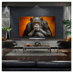 Sale LG 48 Inch OLED TV with Centre Stand