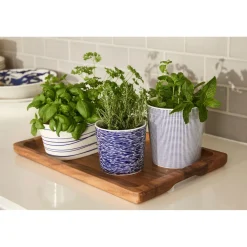 1815 Pacific Large Planter 14 x 15cm