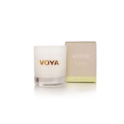 African Lime and Clove Scented Candle