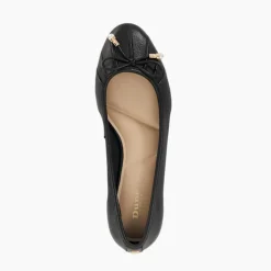 Amazing Ballet Flats