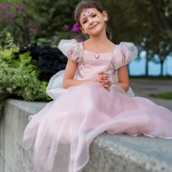 Antique Princess Dress