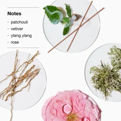 Hot CLINIQUE Aromatics Elixir Body Smoother