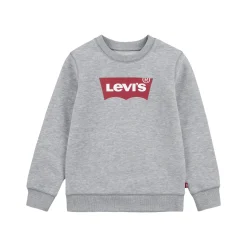 Batwing Logo Sweatshirt 10-14 Years