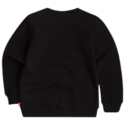 Batwing Logo Sweatshirt 6-8 Years