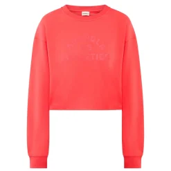 Campus Logo Cropped Sweatshirt