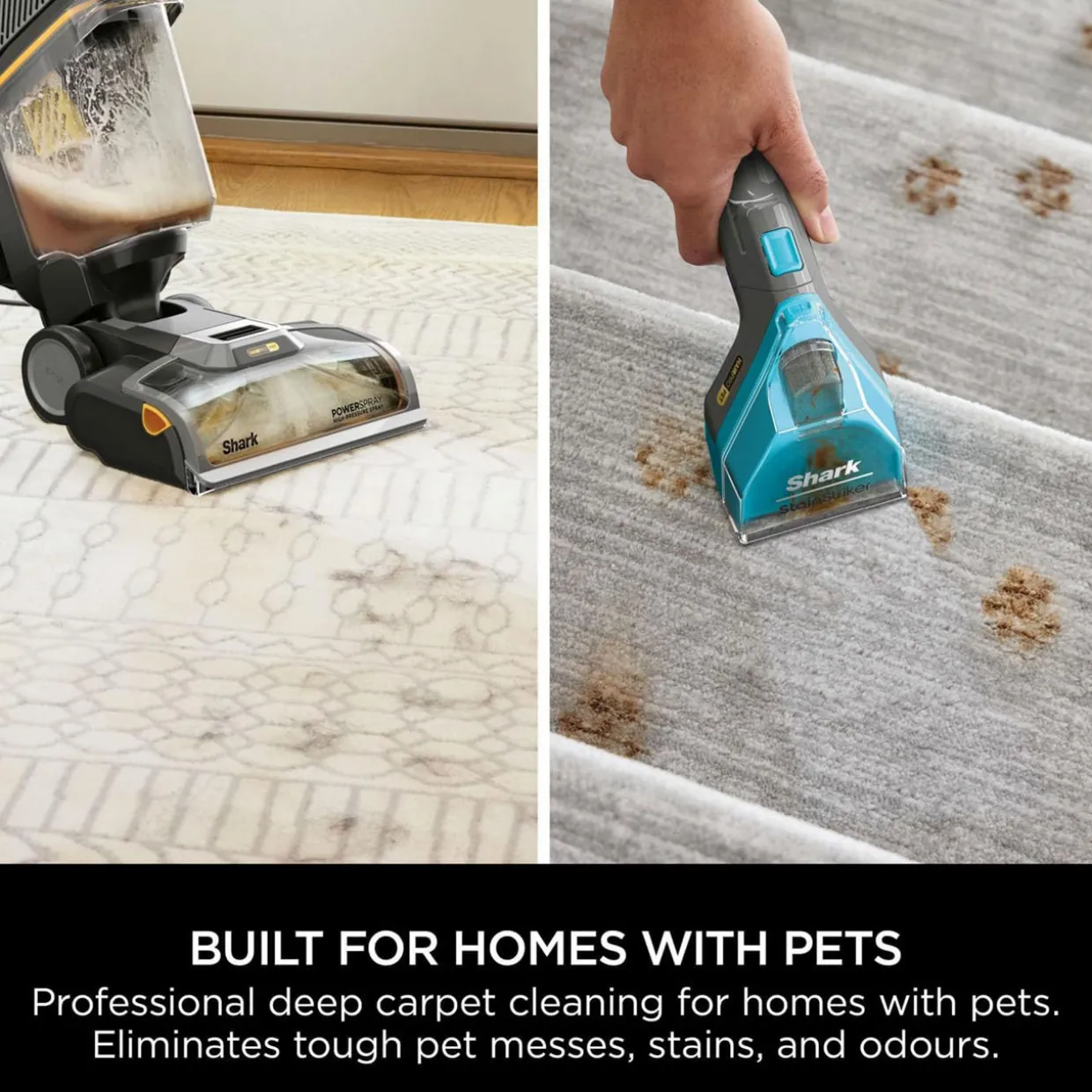CarpetXpert Pet Pro