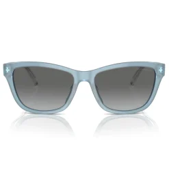 Best EMPORIO ARMANI Cat Eye Sunglasses EA4227U