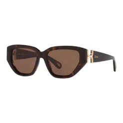 Cat Eye Sunglasses 6N000529