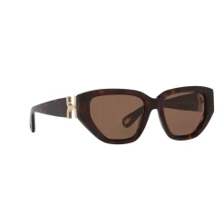 Cat Eye Sunglasses 6N000529