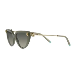 Sale TIFFANY & CO. Cat Eye Sunglasses TF4195