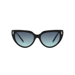 Sale TIFFANY & CO. Cat Eye Sunglasses TF4195