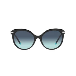 Cat Eye Sunglasses TF4189B