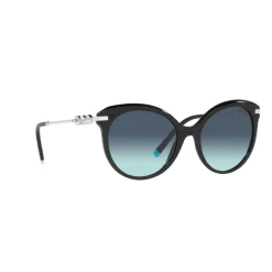 Cat Eye Sunglasses TF4189B
