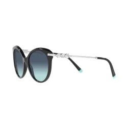 Cat Eye Sunglasses TF4189B