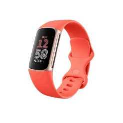 Clearance FITBIT Charge 6 Coral-Champagne Gold Case