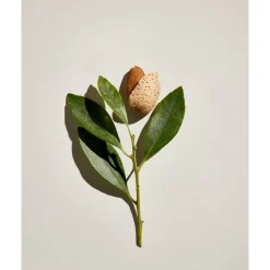 Checks And Balances™ Milk to Oil Cleanser + Makeup Melter