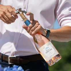 Discount CHATEAU D'ESCLAN Château d'Esclans Rosé