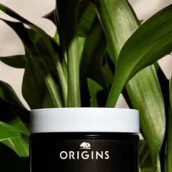 Clear Improvement Rich Purifying Charcoal Mask