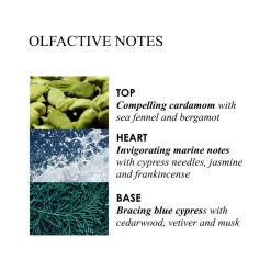 Coastal Cypress & Sea Fennel Body Lotion