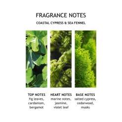 Coastal Cypress & Sea Fennel Hand Lotion