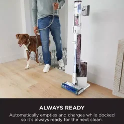 Cordless Detect Vacuum with Auto Empty System