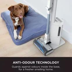 Cordless Detect Vacuum with Auto Empty System