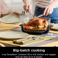 CRISPi 4-in-1 Portable Glass Air Fryer Sage