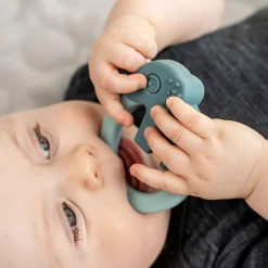 Deer Friends Teethers