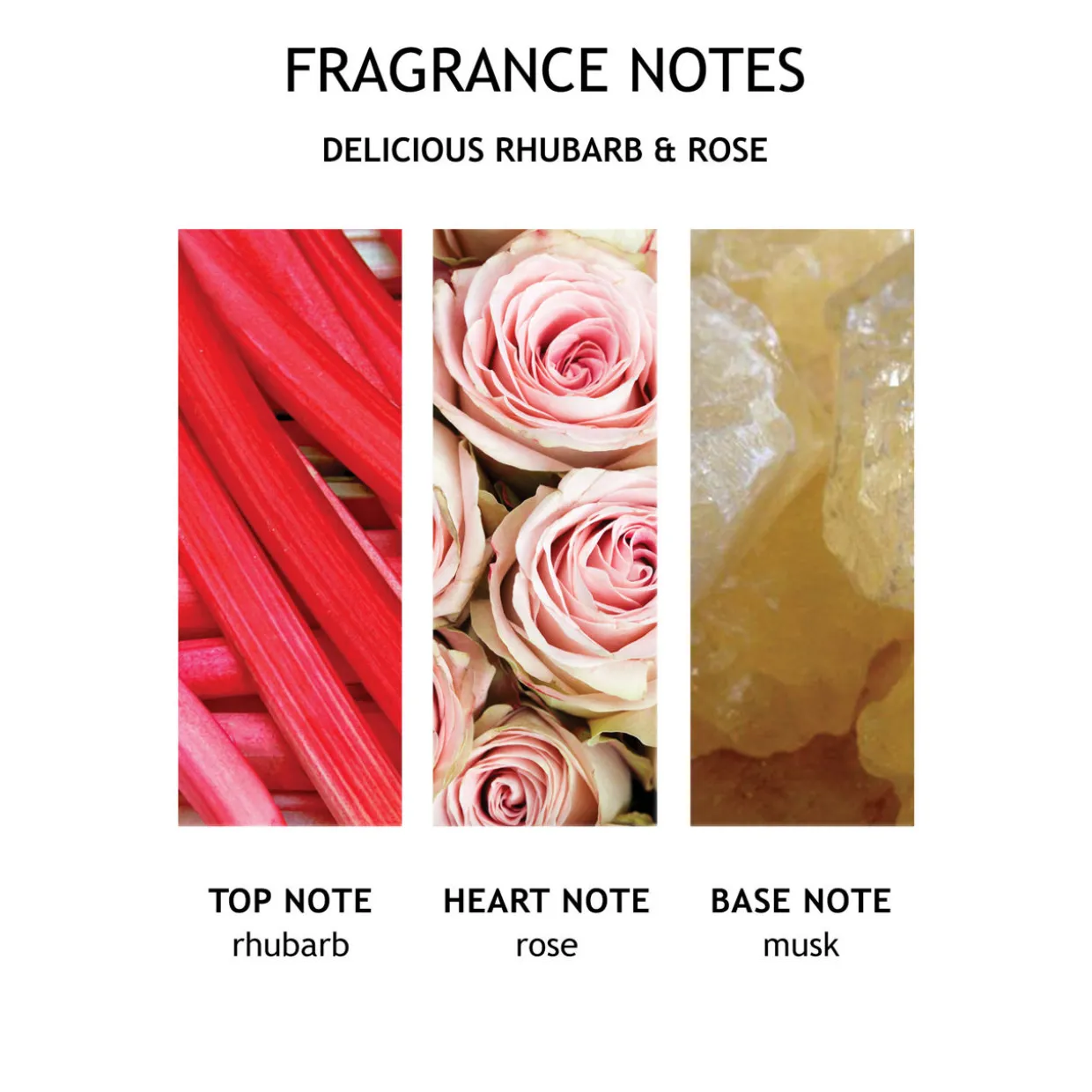 Delicious Rhubarb & Rose Fine Liquid Hand Wash Glass Bottle