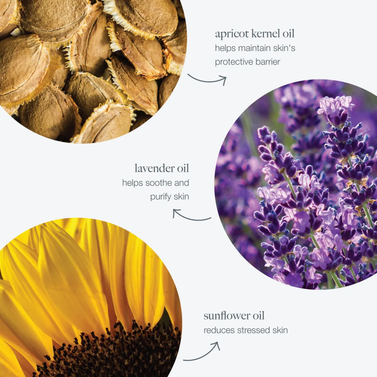 New DERMALOGICA PreCleanse