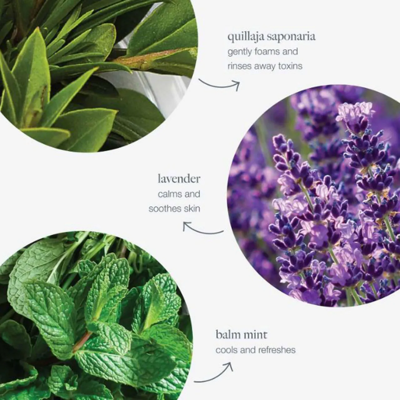 Online DERMALOGICA Special Cleansing Gel