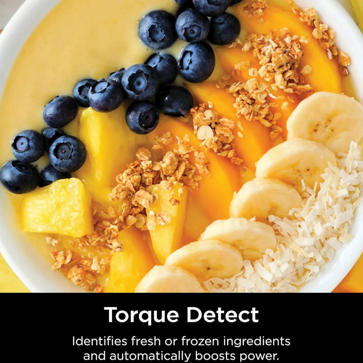 Detect Power Blending Pro with Blendsense Technology