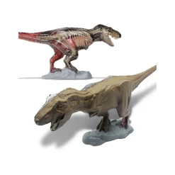 Discovery 4D T-Rex Anatomy Kit