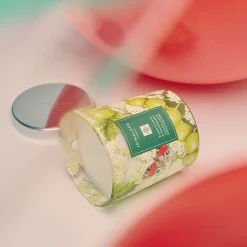 Elderflower & Gooseberry Charity Classic Candle