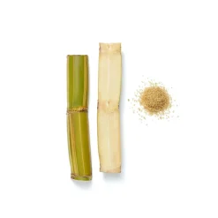 Elixir Collection Purifying Scalp Scrub & Shampoo