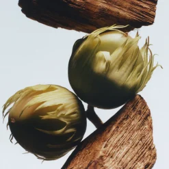 Hot JO MALONE LONDON English Oak & Hazelnut Cologne