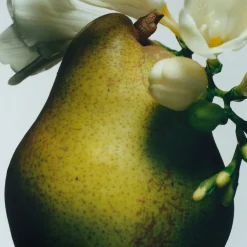 Clearance JO MALONE LONDON English Pear & Freesia Body Crème