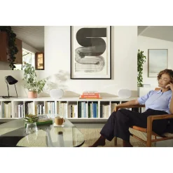 Era 300 Multiroom Speaker