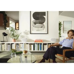 Best SONOS Era 300 Multiroom Speaker