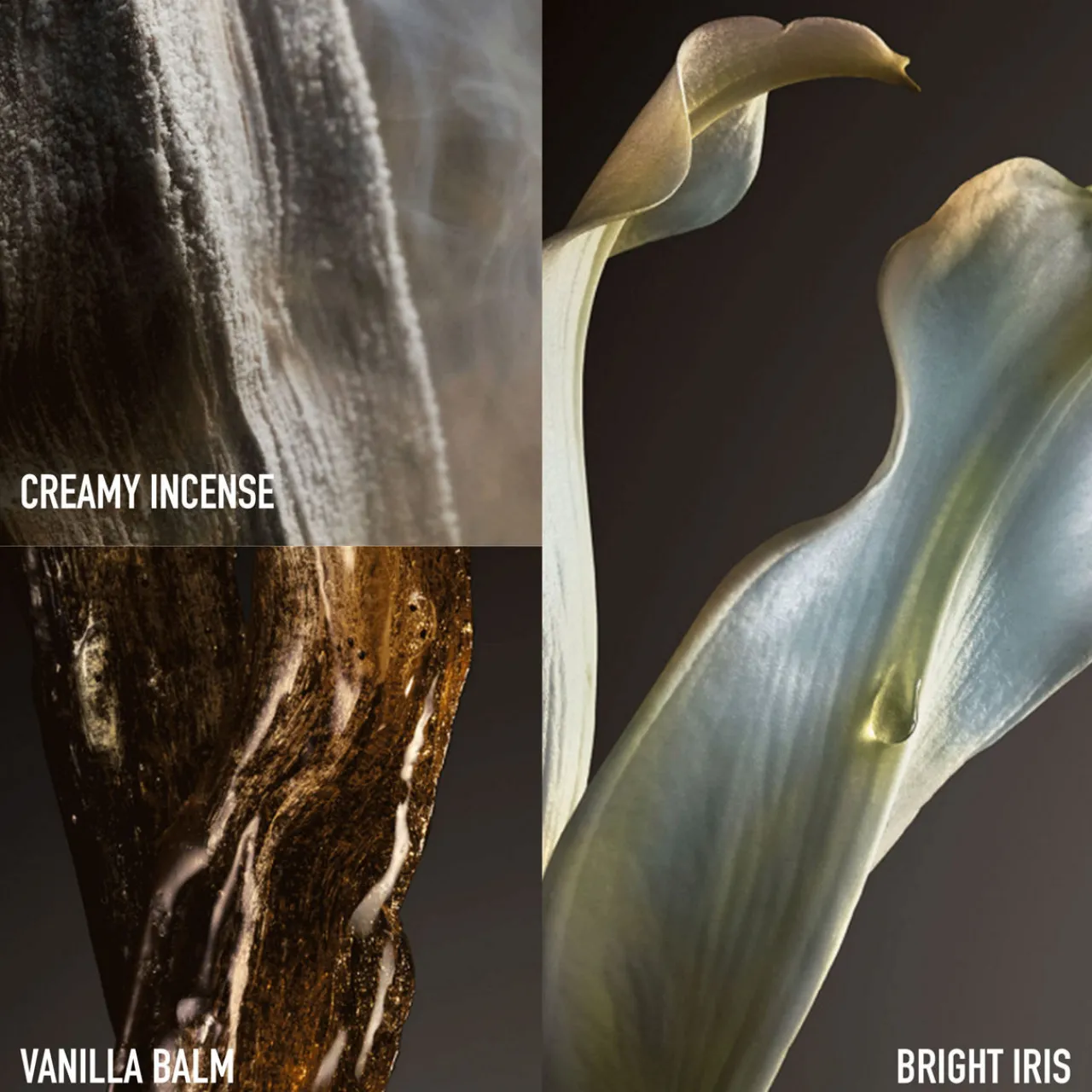 New RABANNE Fame The Couture Edition EDP