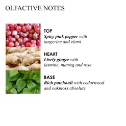 Fiery Pink Pepper Fine Liquid Hand Wash Glass Bottle 200ml