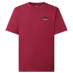 Fashion DICKIES Flag Logo T-Shirt