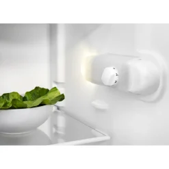 Freestanding Fridge White