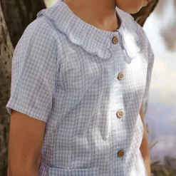 Frill Collar Check Shirt