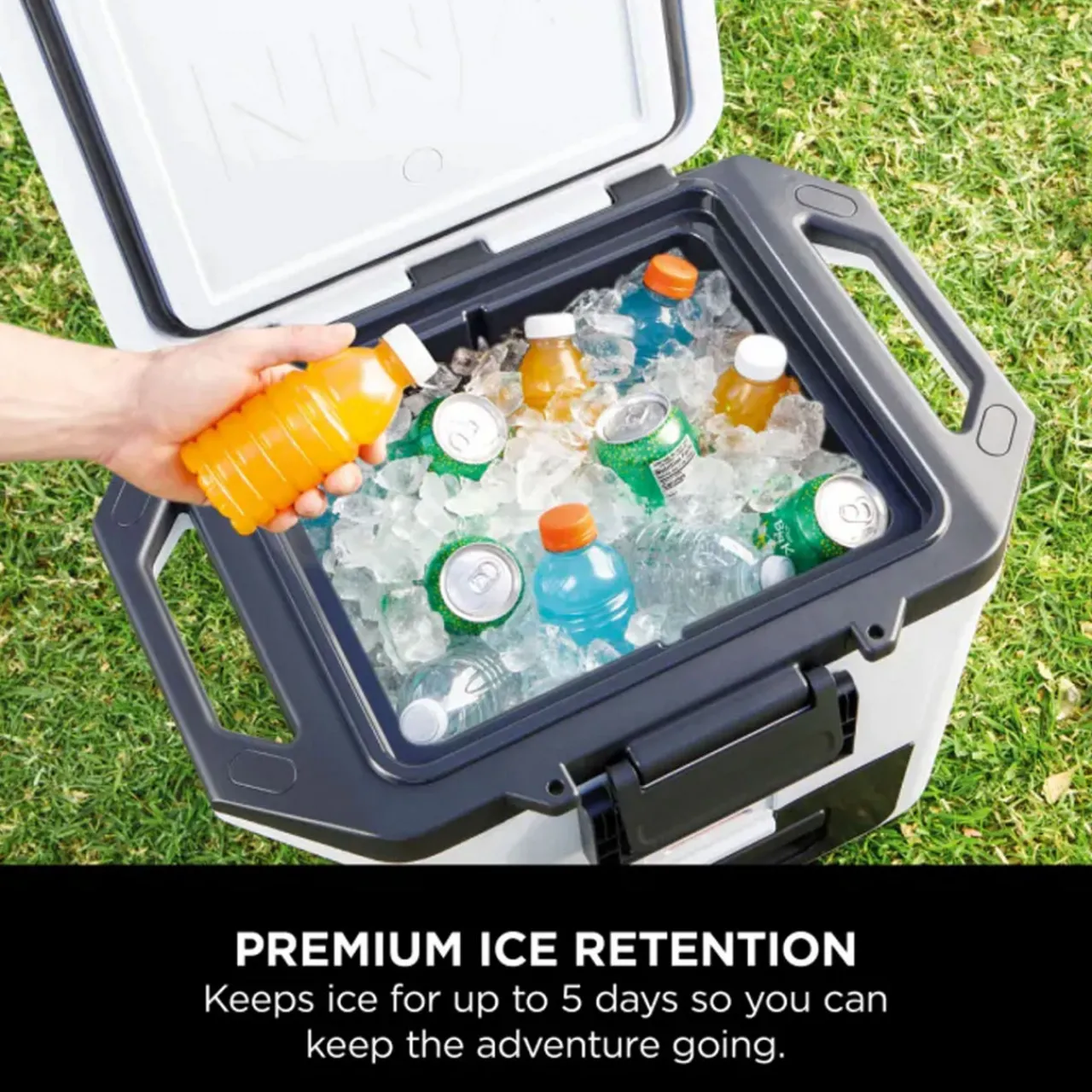 Outlet NINJA FrostVault 28L Hard Cooler, Cloud White