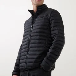 Fuji Lite Logo Padded Jacket